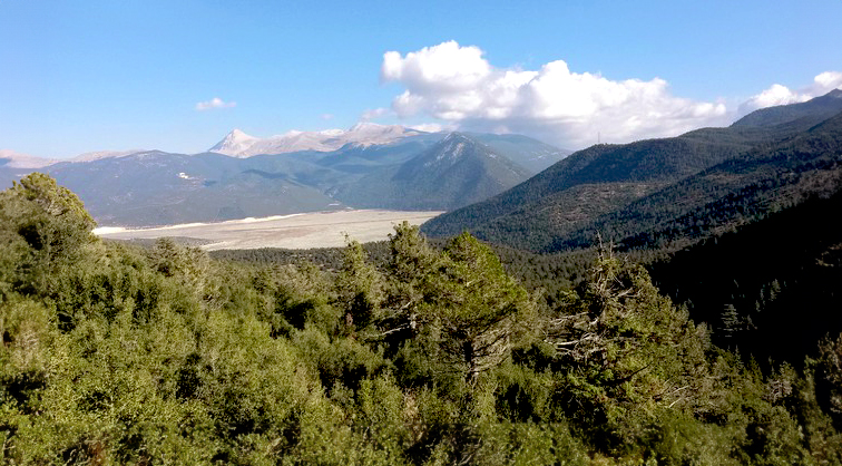 çığlıkara ormanları