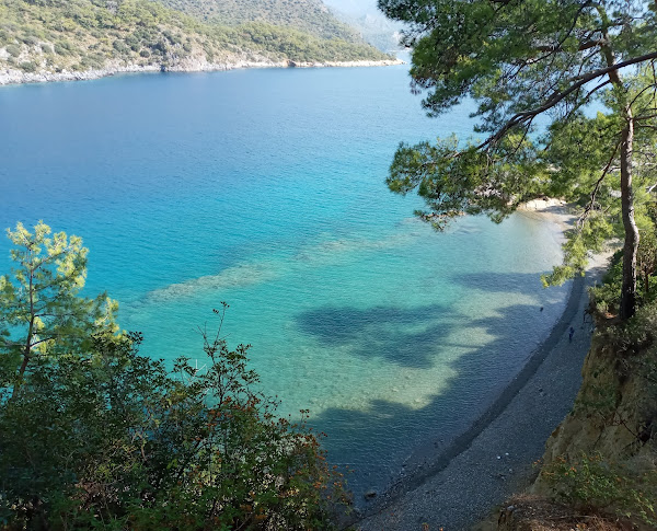 Darboğaz Koyu