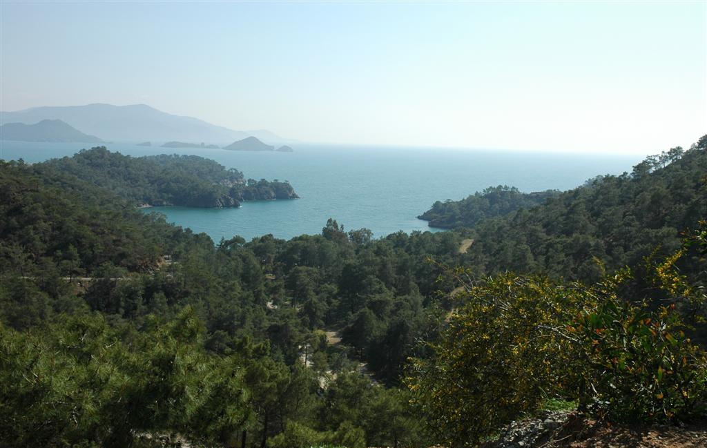 Katrancı Koyu