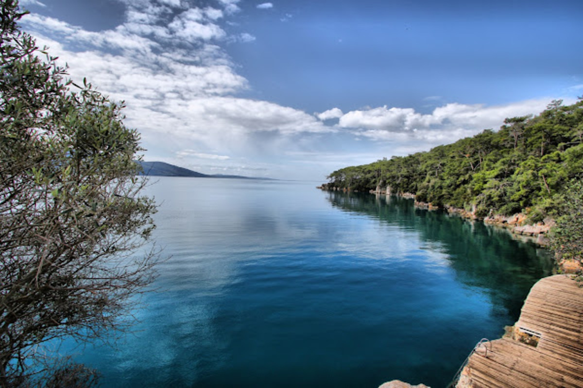 akyaka orman kampı