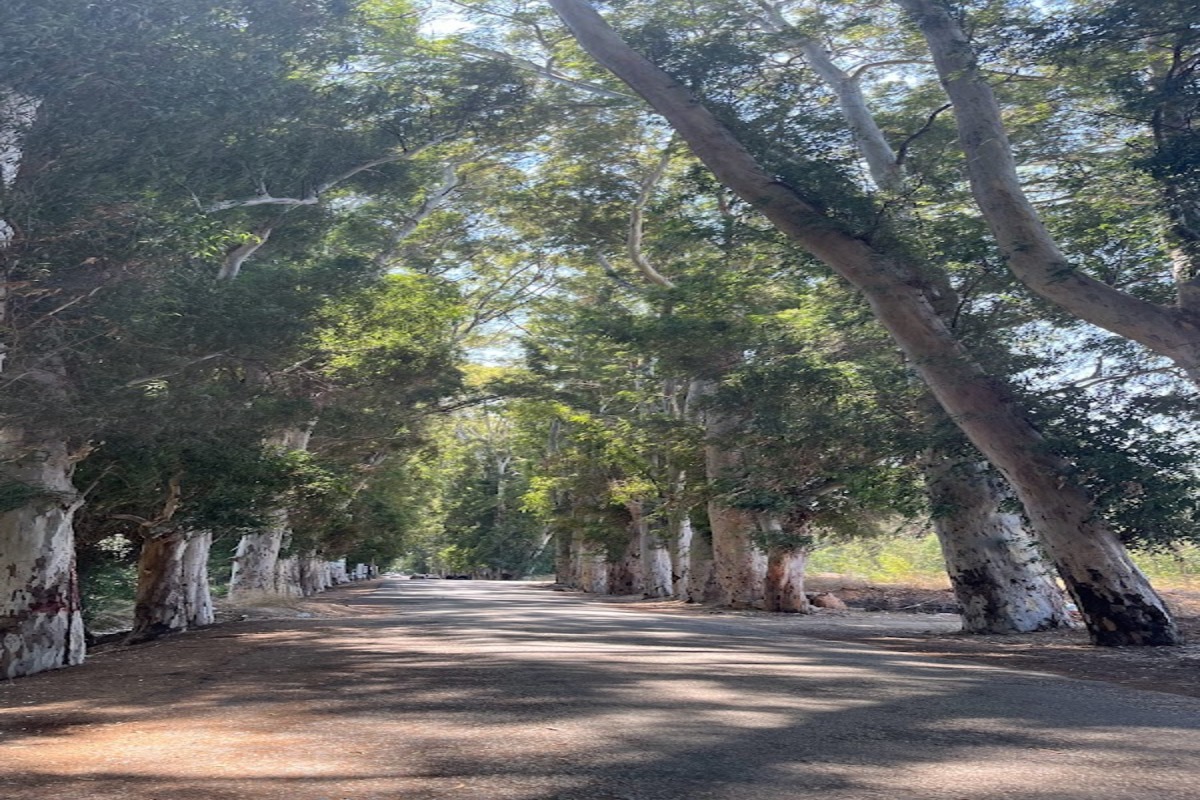 aşıklar yolu